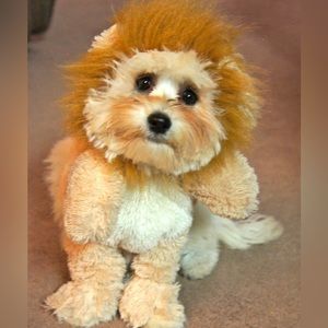 Meet your Posher, Nadia